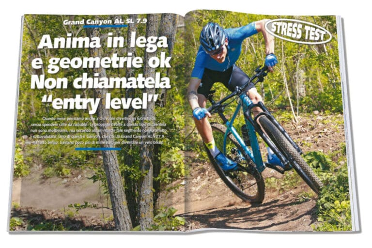Anima in lega e geometrie ok. Non chiamatela “entry level”