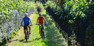 Terre del San Giovese