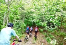 X-Country 2024: tra Campania, Basilicata e Calabria sarà un viaggio bellissimo