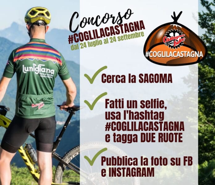 Castagna Bike