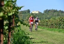 GimondiBike Banca Mediolanum e la forza dei numeri: più di 32.000 iscritti in 20 anni