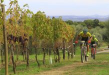 Gran Fondo del Brunello: la partenza dalla stupenda Cantina di Montalcino