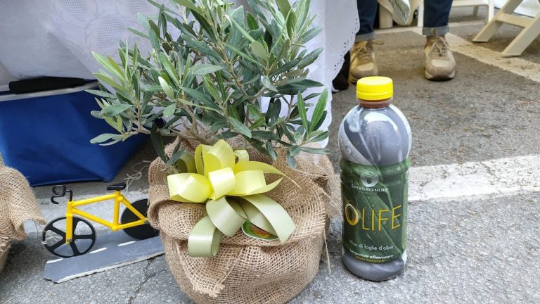 ITALIAN BIKE FESTIVAL 2021 / Olife, l’antiossidante che nasce dalle foglie di olivo