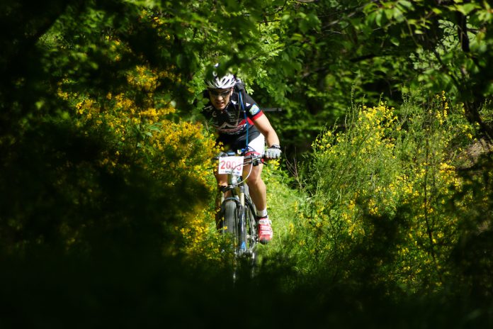 Rally di Romagna
