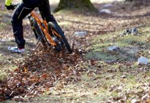 Foliage: il bello (e il brutto) dei trail autunnali in Mtb