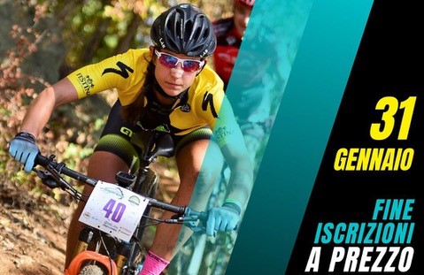 Marathon Bike Cup Specialized