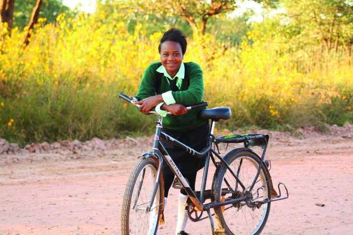 Trek Bicycle