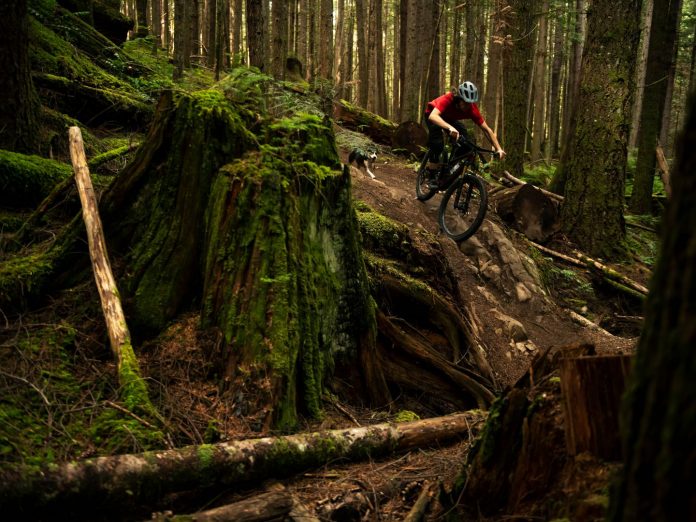 Come frenare in Mtb