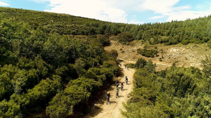 Belvì Trail