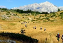 Mtb Abruzzo Cup: abbonamenti prorogati a 140 euro fino al 30 aprile