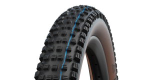Schwalbe