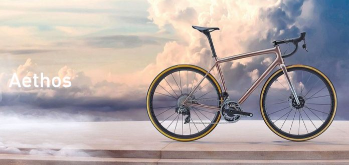 Cingolani Bike Shop