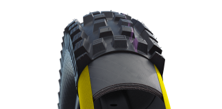 Schwalbe