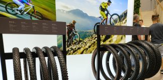 Schwalbe