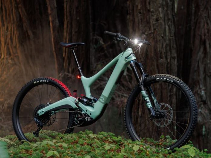 Ibis Oso