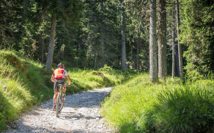 wilier trophy