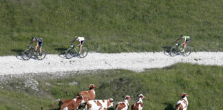 100 Km dei Forti