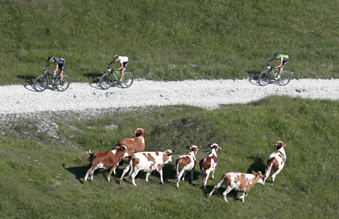 100 Km dei Forti 100 Km dei Forti