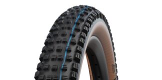Schwalbe Wicked Will