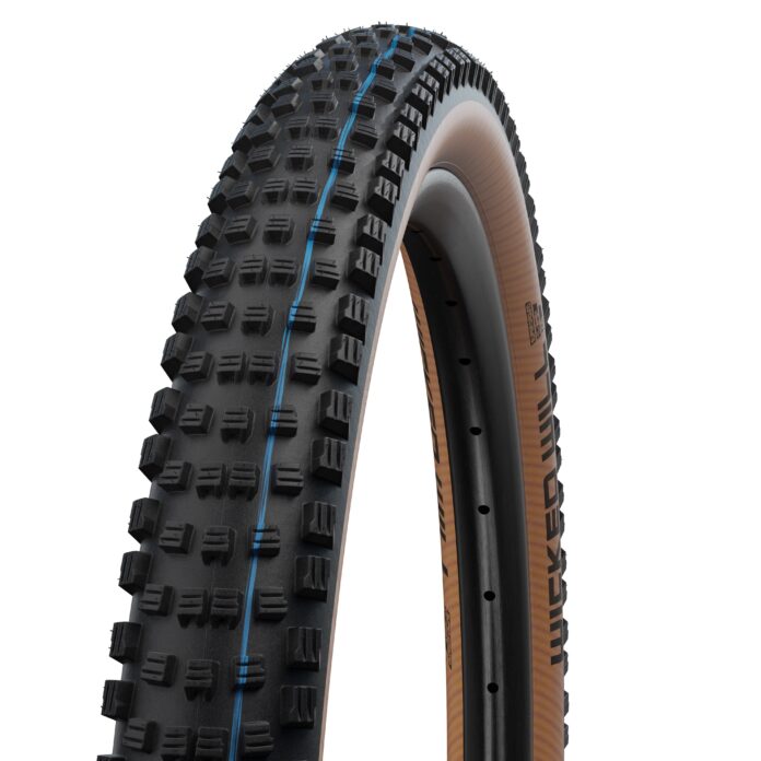 Schwalbe Wicked Will