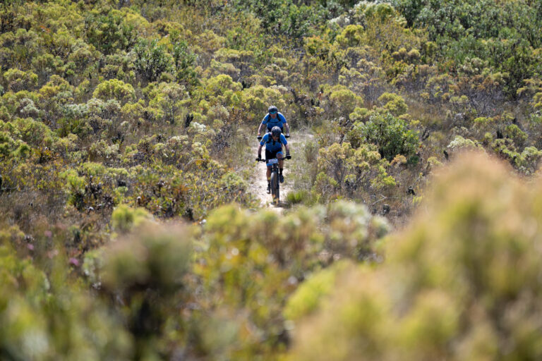 Cape Epic: 8 tappe, 617 km, 16.600 metri di dislivello, ecco le altimetrie