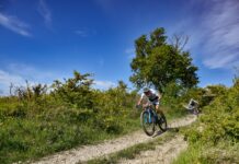 Biciscout Cup