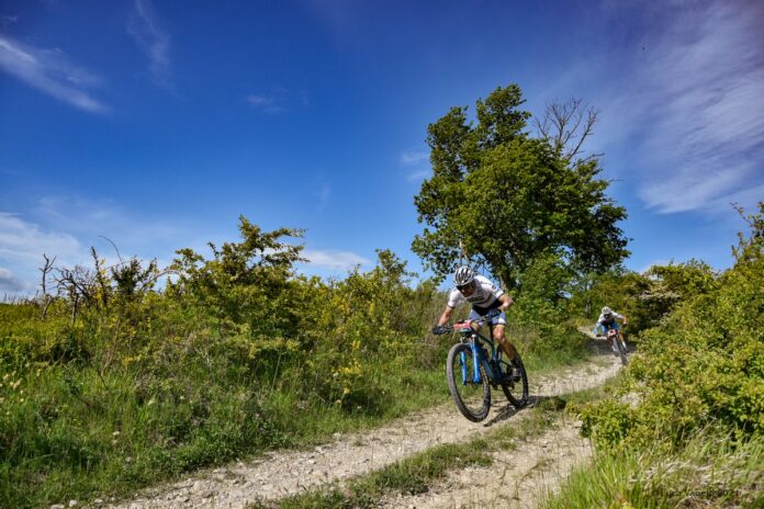 Biciscout Cup