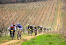 Castello di Monteriggioni 2025, l’appuntamento è fissato per domenica 16 marzo Monteriggioni