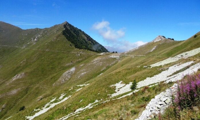 MTB-ONLINE-2023-5f5f883bab718__strada-dei-cannoni-2