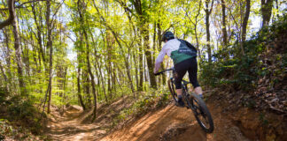 Specialized Turbo Levo SL