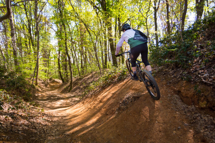 Specialized Turbo Levo SL