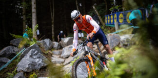 van der Poel