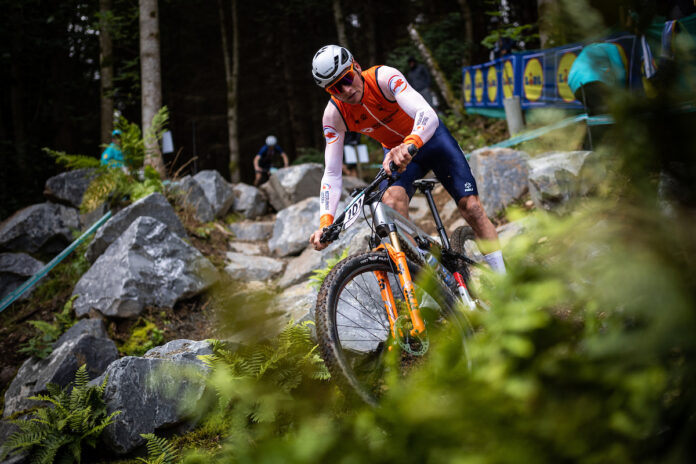 van der Poel van der Poel