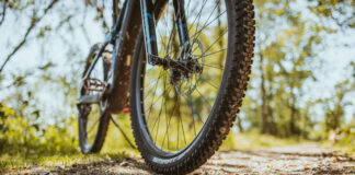 Schwalbe