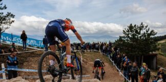 Internazionali d'Italia Series