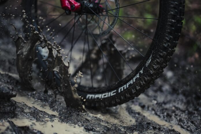 eMTB Chiemsee - Father & Son, Recyclists