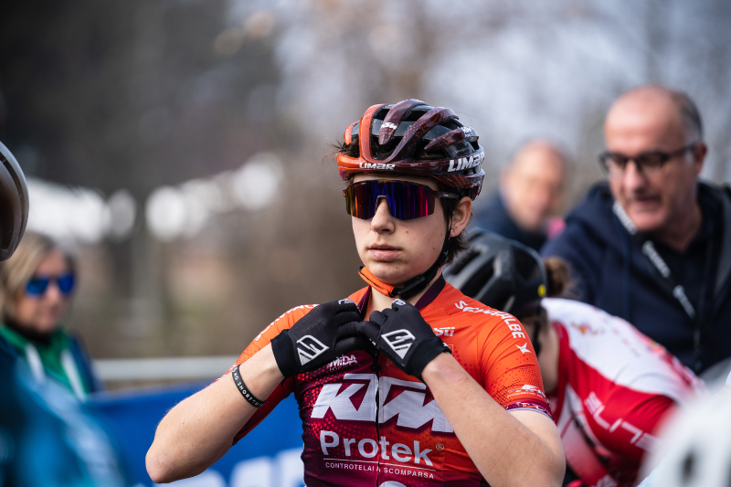 KTM Protek Elettrosystem