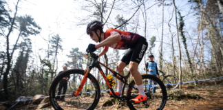 KTM Protek Elettrosystem