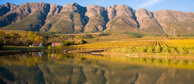 Cape Epic, oggi la prima durissima tappa sulla strada del vino