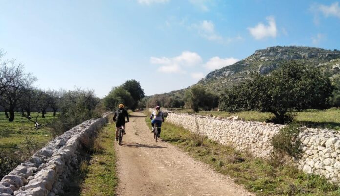 traildelbarocco_1677009811_3043301326811163041_57001256702