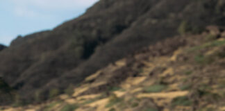 Sportful Riders Kit