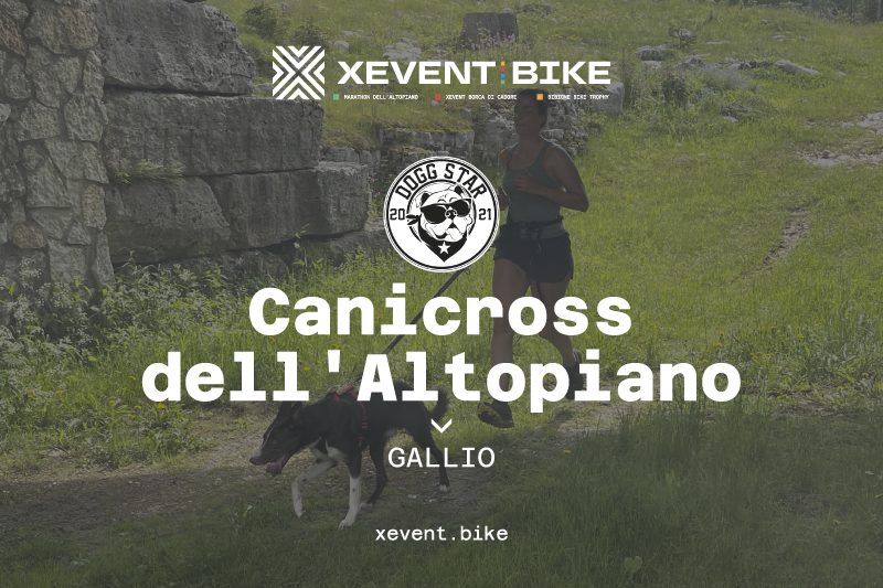 Xevent Bike