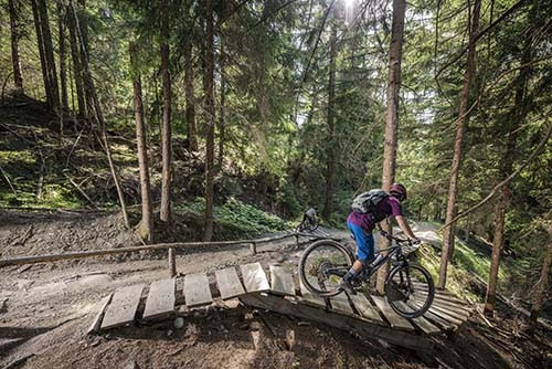 Bike Park Plan de Corones