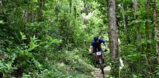 Granfondo Sentieri d’Aspromonte