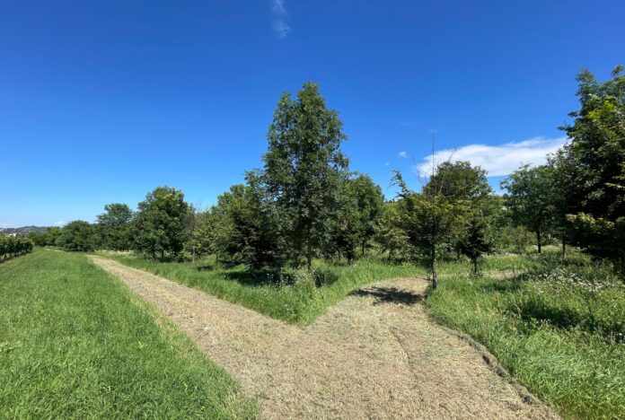 3 Le Marne Relais