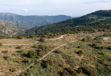 Rally di Sardegna