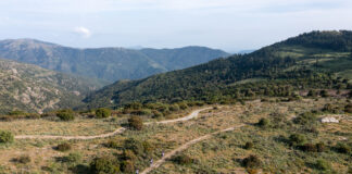 Rally di Sardegna