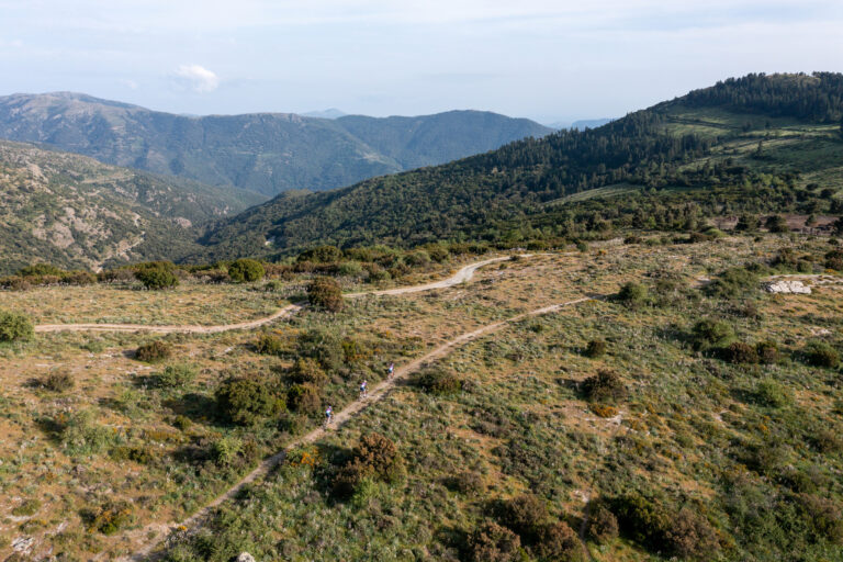 Rally di Sardegna