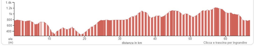 Rally di Sardegna