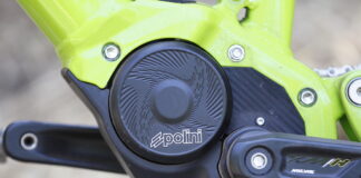 Polini